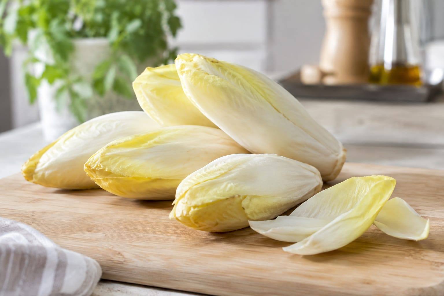 Endive fraîche aux feuilles blanches et jaunes, rincée et posée seule sur une planche claire.