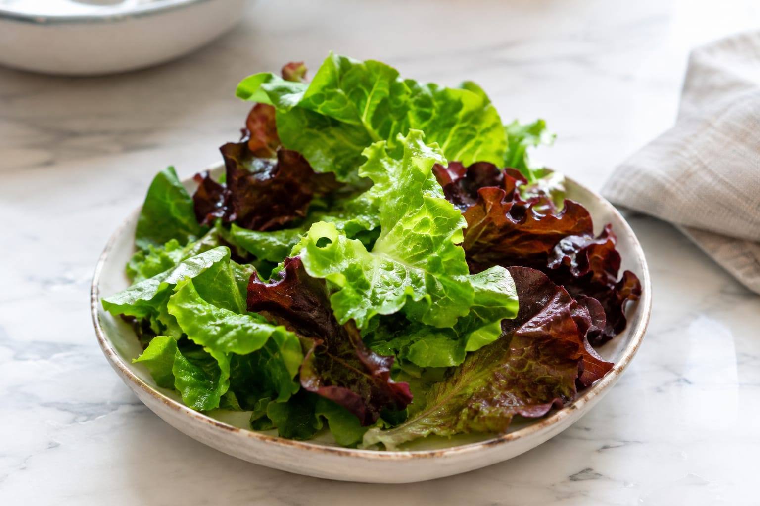 Feuilles de laitue verte et rouge, lavées et posées dans une petite assiette en céramique sur une table claire.