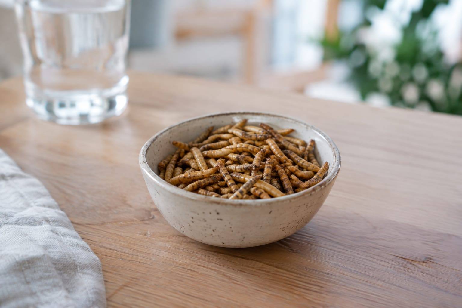 Petit bol en céramique contenant des vers de farine séchés, posé sur une table claire dans une cuisine lumineuse.